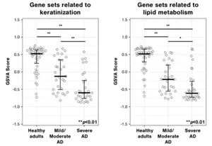 This figure shows how GSVA scores for AD-related gene sets change with symptoms of AD. It demonstrates that the greater the severity of AD, the lower the score of each gene set.