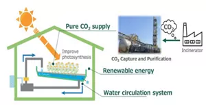 Figure 1. Schematic diagram of environmentally friendly cultivation in Kao’s unique Smart Garden Meguri
