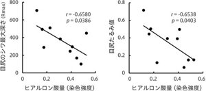図2 シワ・たるみと皮膚ヒアルロン酸量との関係