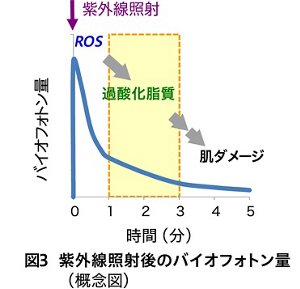 20190610-001-03