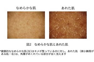 20190816-001-02