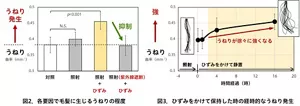 照射毛髪をひずんだ状態で保持すると顕著にうねりが発生したことを示した図(左)。保持時間が長いほどうねりが強くなることを示した図(右)。