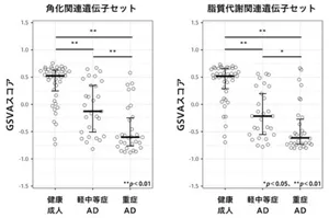 ADの症状に伴った、AD関連遺伝子セットのGSVAスコアの変化を表した図。各遺伝子セットのスコアはAD重症度に伴って低下することが明らかとなりました。