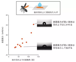 蚊の羽に要液をたらすと、表面張力の低い液体は羽をぬらして広がる