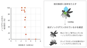 表面張力の低い水溶液は蚊をノックダウンさせることを示す図