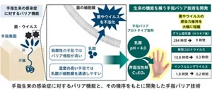 手指生来の感染症に対するバリア機能の機序にもとに感染症を予防する技術を開発