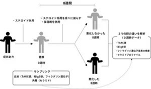 試験の概要。大分大学医学部附属病院皮膚科を受診し、ステロイド外用による薬物治療によってADの状態から寛解したと判断した39人の患者を対象に、8週間、保湿クリームを外用しつつステロイド外用を徐々に減らし、0週目(寛解時)と8週目にAD重症度スコアを評価しました。0週目の時点で、血液と角層のサンプリングを実施し、8週目の時点で、AD重症度スコアが0週より同値以下であれば「悪化しなかった」、同値より大きければ「悪化した」として群分けしました。