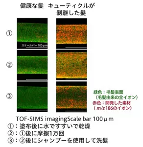 新素材由来の成分の残留箇所を赤色でイメージングした結果、新素材の成分はキューティクル剥離部に集中的に残留し、生活を想定した1万回の摩擦や洗髪によっても残存していることがわかりました。