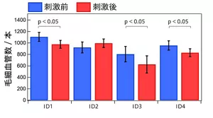 図4 刺激前後での毛細血管本数の変化