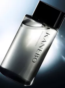 カネボウ スキン ハーモナイザーのポスター画像