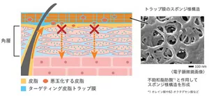 新技術ターゲティング皮脂トラップのイメージ図と不飽和脂肪酸と作用してスポンジ様構造を形成したトラップ膜の電子顕微鏡画像