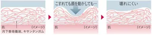 こすれても顔を動かしても、塗膜が肌に寄り沿い、壊れにくい