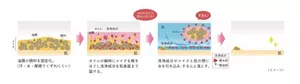 「トワニーアンドミー デュアルウォッシュハグ」の「ハグするん処方」のイメージ図