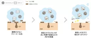 泡立て洗顔時の洗浄イメージ図