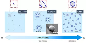 図1 水道水中でのバイオIOS(C18IOS)の集合状態の変化。洗浄時相当の濃度領域では「ミセル」、すすぎ時相当は「ベシクル」で存在