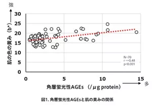 図1.角層蛍光性AGEsと肌の黄みの関係