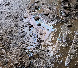 油汚染土壌の様子