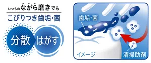「薬用ピュオーラ ハミガキ」の商品特長の画像