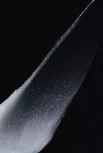 セグレタプレミア質感変化トリートメントのテクスチャーカット