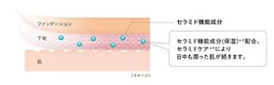 独自開発「スキンプロテクト膜」 イメージ図