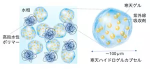 紫外線吸収剤を内包した寒天ハイドロゲルカプセルと、高抱水性ポリマーを水相に配合した新処方のイメージ