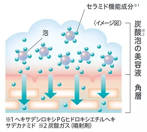 独自開発「高吸着セラミドケア技術」イメージ図