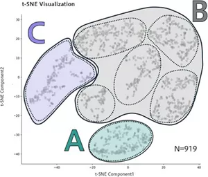 歩行に現れる身体アライメントの特徴が3タイプ分類できることを示した図