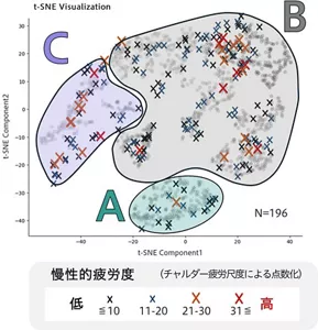 身体アライメントのゆがみが慢性的疲労と密接に関連していることを示した図