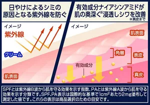 日やけによるシミの原因となる紫外線を防いでいる模式図と、有効成分ナイアシンアミドがシワを改善する仕組みの模式図。