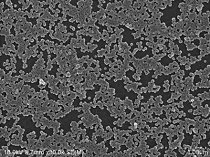 基板を研磨した直後の表面を電子顕微鏡で観察した画像。基板にシリカ砥粒が多量に付着している。