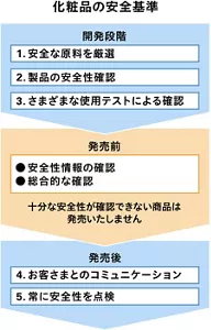 化粧品の安全基準の図。開発段階の3つの安全性評価ステップと、発売前の2つの総合的な確認、発売後の2つのステップがあります。