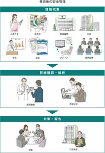 発売後の安全管理の図。3段階で実施しています。1.情報収集として、お客様、販売店、医療機関、行政、学会、文献、メディア、業界団体から情報を収集しています。2.詳細確認・解析として医師聴取を行ったり、情報分析を行っています。3.対策・報告として、対策をたてたり行政報告を行っています。