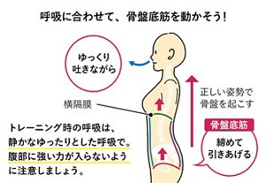 呼吸に合わせて、骨盤底筋を動かそう!トレーニング時の呼吸は、 静かなゆったりとした呼吸で。 腹部に強い力が入らないよう に注意しましょう。