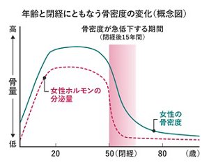 年齢と閉経にともなう骨密度の変化 女性ホルモンの分泌量 骨密度が低下する期間(閉経後15年間) 骨密度