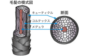 image-01-m