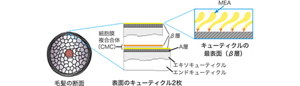 image-02-l