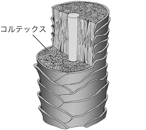 image-03-s