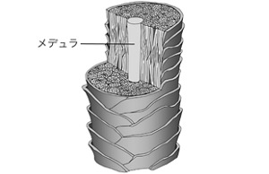 image-04-l