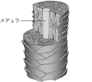 image-04-s