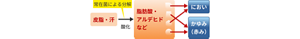 image-2104-01-l