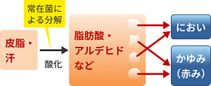 image-2104-01-s