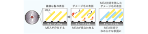 image-01-m