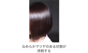 image-03-l