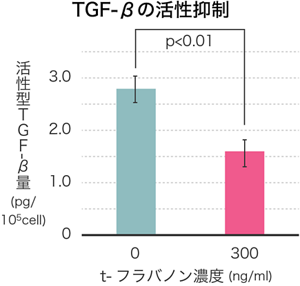 image-04-m