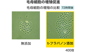 image-05-l