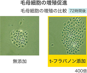 image-05-m