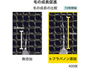 image-06-l