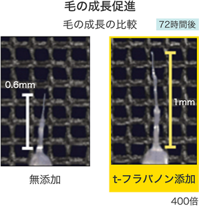 image-06-m