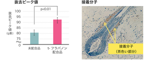 image-07-m