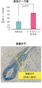 image-07-s